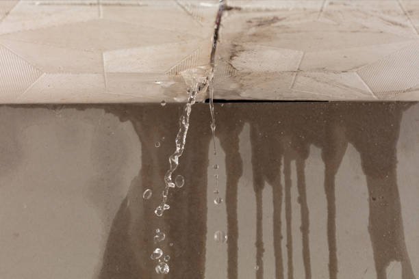 Professional Water Damage Repair technician working in Orchard, TX